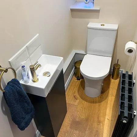 Lily Pad - Uk49104 *