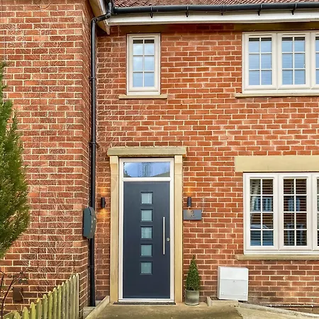 Lily Pad - Uk49104 *